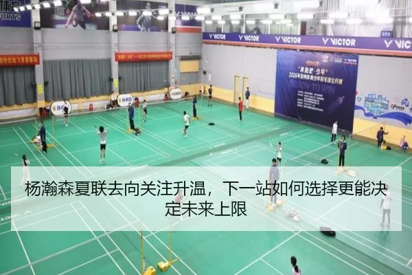 杨瀚森夏联去向关注升温，下一站如何选择更能决定未来上限